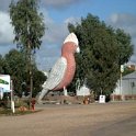 AUS SA Kimba 2004MAY24 001  475 kilomters (295 miles) from Adelaide and half way across Australia is this 8 meter (26 foot) tall cockatoo in the town of  Kimba . : 2004, 2004 - The "Get Fluxed" Australian Tour, Australia, Date, Kimba, May, Month, Places, SA, Trips, Year